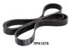 TOYOT 90916W2014 V-Ribbed Belts